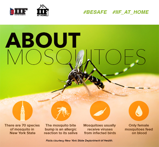 mosquito protection